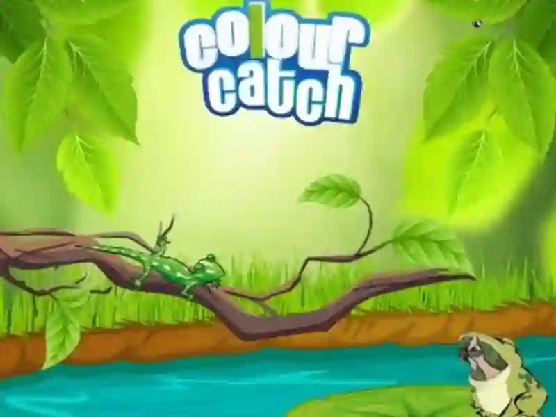Hra Colour Catch online