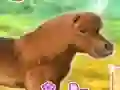 Hra My Dear Pony online