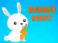 Hra Runner Rabbit online
