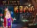 Hra Plainly King Escape online