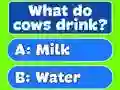 Hra Trivia Best Family Quiz online