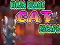 Hra Ninja Black Cat Escape online