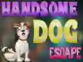 Hra Handsome Dog Escape online