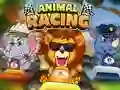 Hra Animal Racing online