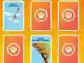 Hra National Geographic Kids Matching online