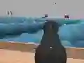 Hra Ships 3D online