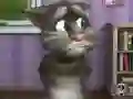 Hra Talking Tom Cat 2 online