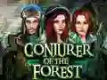Hra Conjurer Of The Forest online