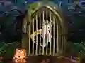 Hra Cute Pirate Girl Escape online