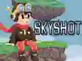 Hra Skyshot online