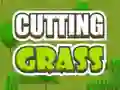 Hra Cutting Grass online