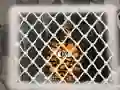 Hra Tiger Escape 1 online