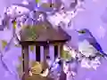 Hra Wonderful Humming Bird Land Escape online