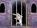 Hra Victory Rabbit Escape online