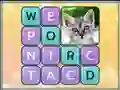 Hra Word Search Pictures online