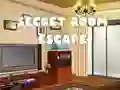 Hra Secret Room Escape online