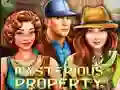 Hra Mysterious Property online