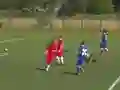 Hra Quiz-Referee online
