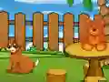 Hra Funny Iguana Escape online