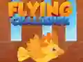 Hra Flying Challenge online