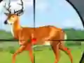 Hra Wild Hunt Hunting Games 3D online