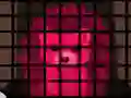 Hra Porcupine Cage Breakout online
