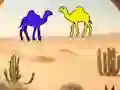 Hra Camels Release Desert Discovery online