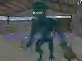 Hra Emergent Galaxy online