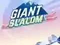 Hra Giant Slalom online