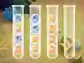Hra Sort Bubbles online