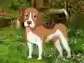 Hra Flower Garden Dog Escape online