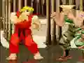 Hra Street Fighter 2 Flash online