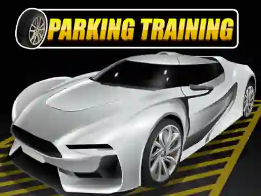 Hra Parking Training online