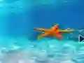 Hra Escape From Underwater Starfish online