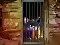 Hra Hidden Cat Escape online
