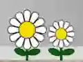 Hra Find Succulent Plant online