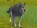 Hra The Wolf: Wild Animal Simulator online