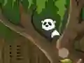 Hra Panda Jungle Escape online