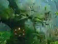 Hra Innocent Sparrow Couple Escape online