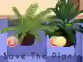 Hra Save the Plants online