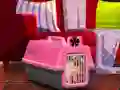 Hra Escape The Small Pug online