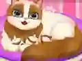 Hra Cute Kitty Pregnant online