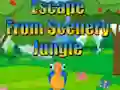 Hra Escape from Scenery Jungle online