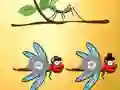 Hra Find Dragonfly Cooper online