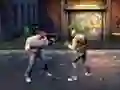 Hra Hood Fighter online