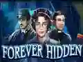 Hra Forever Hidden online