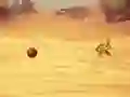 Hra Monkey Shooting online