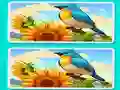 Hra Spot the Difference The Garden online