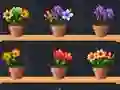Hra Good Flower Master online