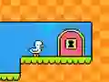 Hra Times Table Duck online